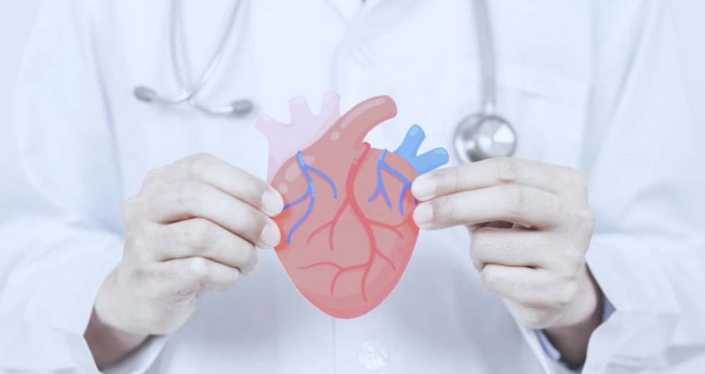 БЛОКАДЫ СЕРДЦА